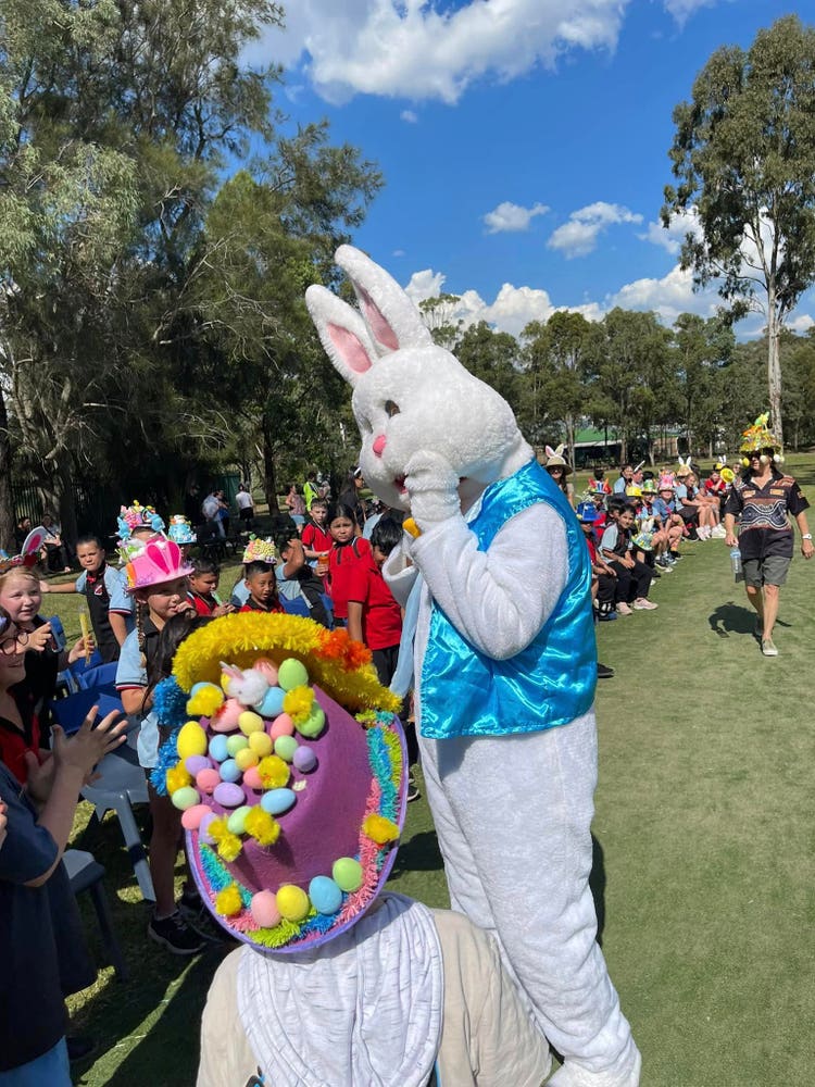 No photo description available.