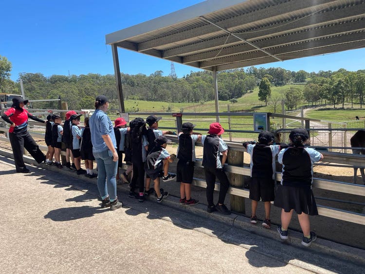 No photo description available.