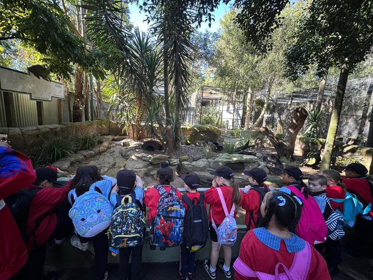 May be an image of 8 people, people studying and tree